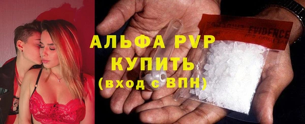 ECSTASY Костерёво