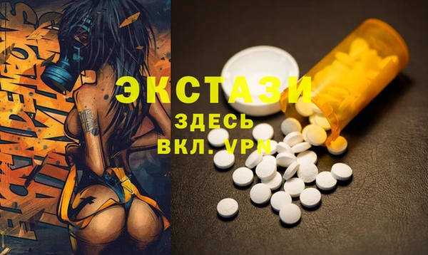 ECSTASY Костерёво