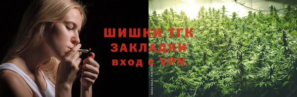 ECSTASY Костерёво